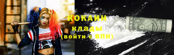 гидропоника Гусев