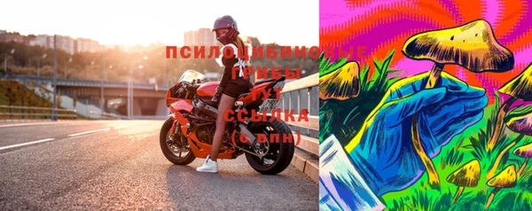 бошки Гусь-Хрустальный