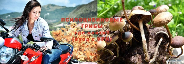 бошки Гусь-Хрустальный