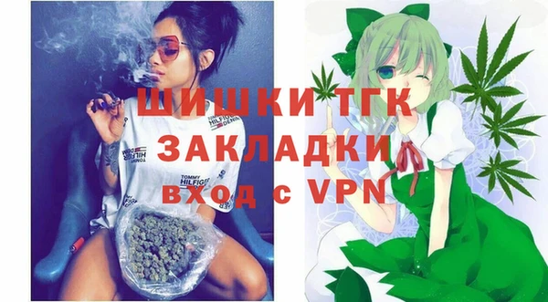 гидропоника Гусев